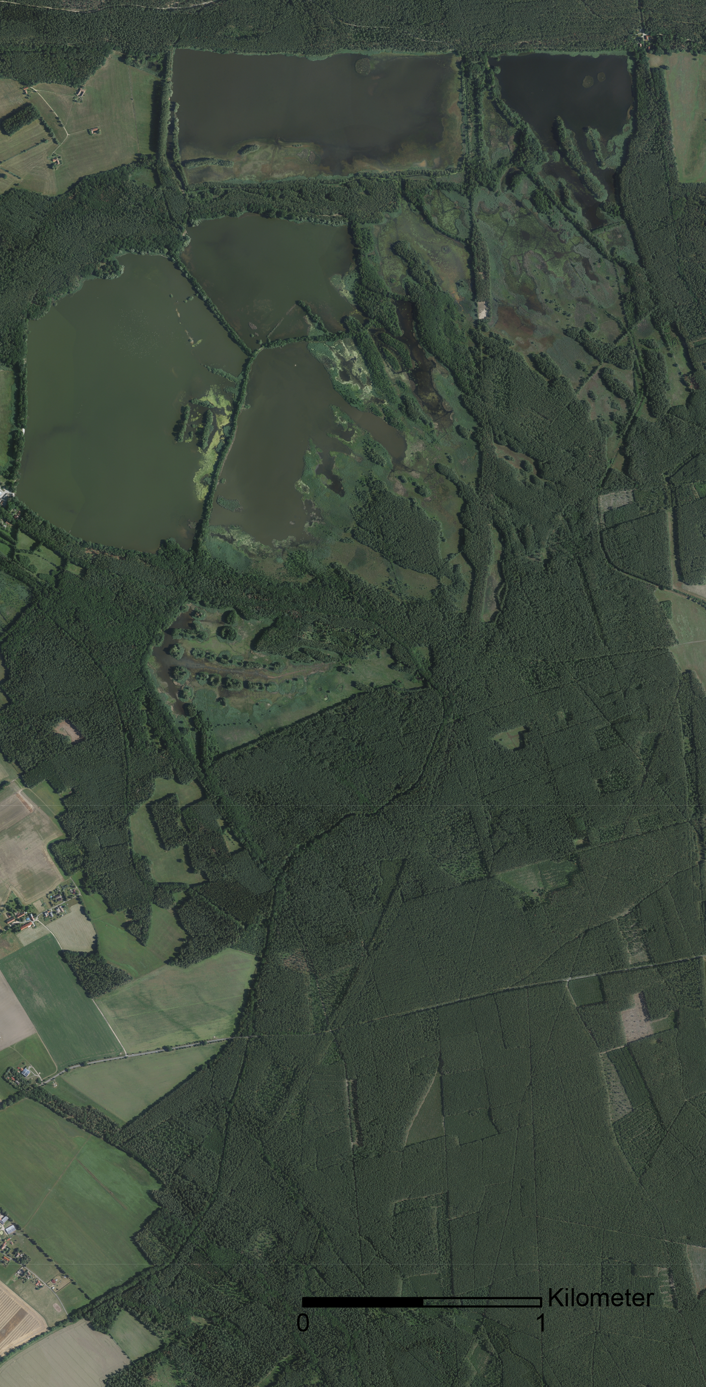 Im Orthophoto von 2020 gibt sich die Trasse im Baumbestand als Streifen deutlich zu erkennen (Grundlage: Landesamt für Geobasisinformation Sachsen).